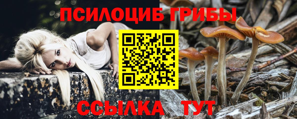 Кунгур  Псилоцибиновые грибы GOLDEN TEACHER  Вход с VPN  Галлюциногенные грибы прущие грибы 