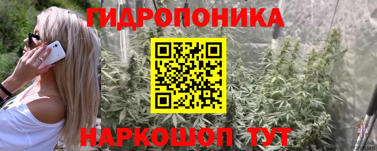 Канабис ГИДРОПОН  Каннабис AK-47  Марихуана планчик  Вход с VPN  Кунгур  Каннабис Bruce Banner 